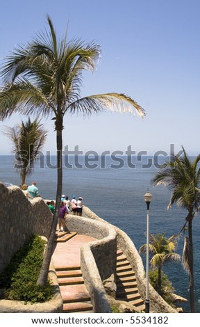 Palm tree and area surrounding the cliff diving location