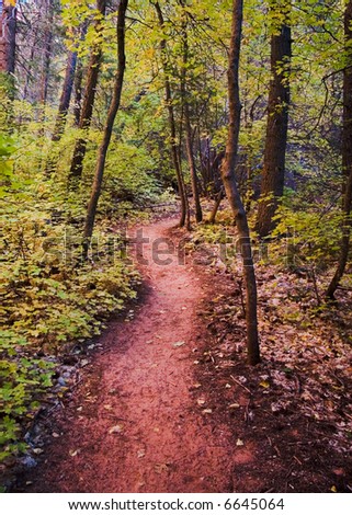 Fall in Zion National Park Utah with the leaves changing colors along a dirt path