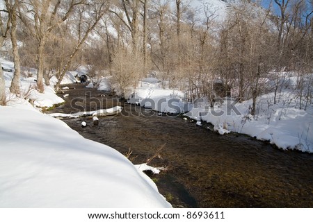 Mountain stream surrounded by snow in the mountains of Utah during the winter