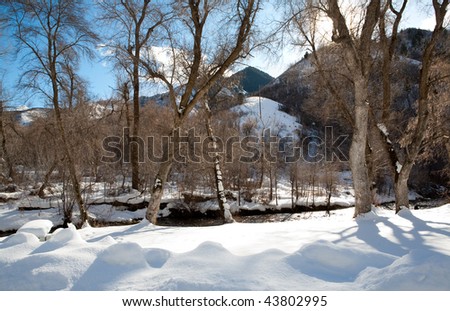 Winter sense with lots of snow on a sunny day in the high mountains of Utah