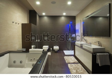 Modern Bathroom Interior on Modern House Bathroom Interior With Simple And Expensive Furniture