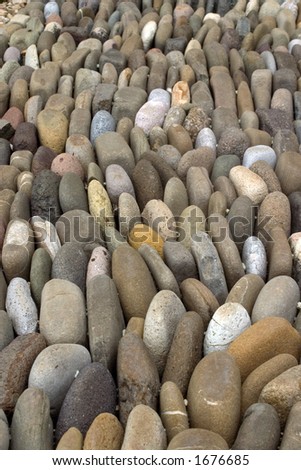Rows of Stone in a garden
