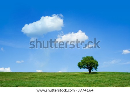 Summer day: cloudy sky and a single tree on a field