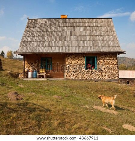 Simple wooden house on hill. Fire wood stacked around the window