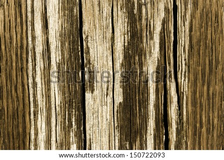 Close up of vertically textured old barn wood showing grain and peeling paint/Weathered Barn Wood/ Close up of vertically textured bray and brown old barn wood showing grain and peeling paint