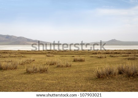 surface of the salt lake, salt marsh. north of Mongolia.