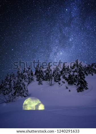 Night wonderland in winter. Igloo snow in the fir forest under a starry sky. Shelter in a mountain winter hike