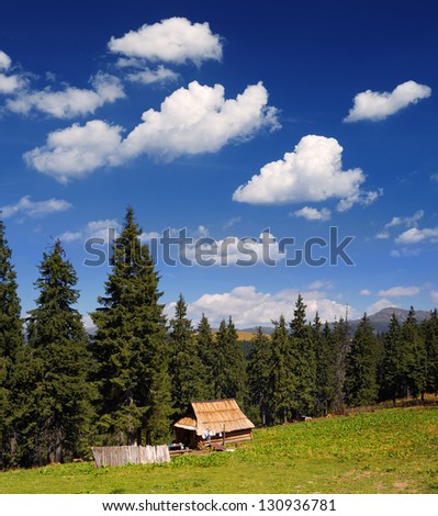 Bright sunny summer landscape in the mountains