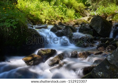 Beautiful mountain river with cascades of stones and green plants in the forest