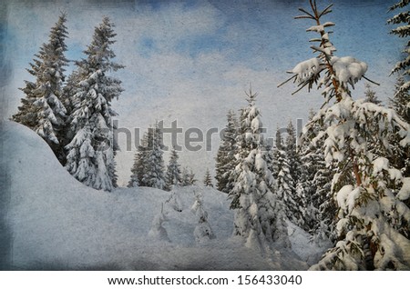 Enchanted forest in dark colors. Winter landscape in the winter forest. Christmas theme