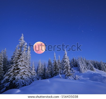 Winter Landscape In The Mountains At Night. A Full Moon And A Starry Sky. Carpathians, Ukraine