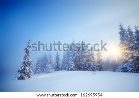 Winter Landscape With Fog In A Mountain Forest. Evening With The Warm Rays Of The Sun