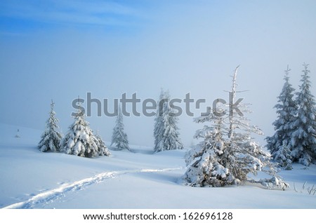 Winter landscape with fresh snow in the mountains. The path in the snow