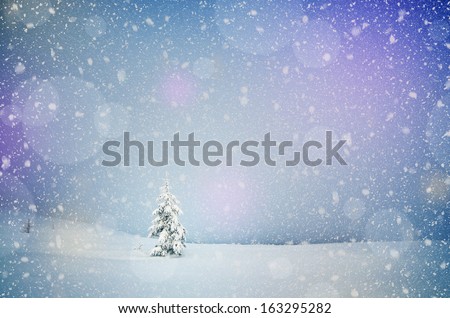 Winter landscape with snow-covered fir-tree in a lonely mountain valley. Christmas theme with snowfall