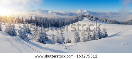 Winter Panorama Of Mountains On A Sunny Day. Carpathians, Ukraine