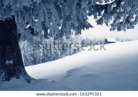 Winter Landscape With Snow In A Mountain Valley. Cabin In The Woods. Carpathians, Ukraine, Europe