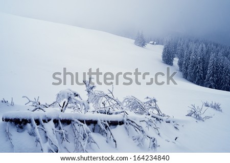 Cloudy landscape foggy day. Winter in the mountain valley. Carpathians, Ukraine, Europe