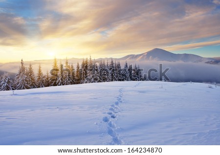 Winter Landscape With Sunrise In The Mountains. The Path In The Snow. Carpathians, Ukraine, Europe