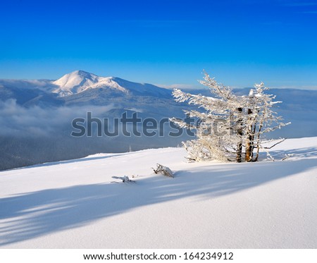 Bright sunny day in the mountains. Winter landscape with fresh snow. Carpathians, Ukraine, Europe