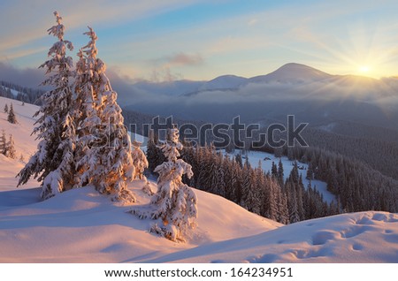 Colorful sunrise in the mountains in winter. Beautiful landscape in the morning. Carpathians, Ukraine, Europe. View of Mount Goverla