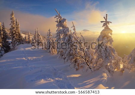 Bright winter landscape with beautiful sunshine. Sunset in the mountain valley. Carpathians, Ukraine, Europe