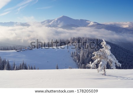 Mountain landscape on a sunny afternoon in the mountains. Mountain village in the mountains, Carpathians, Ukraine, Europe.