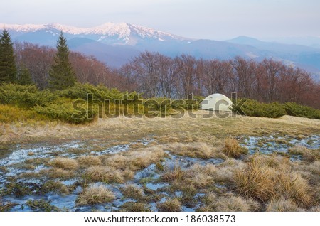 Spring landscape with tourist tent in the mountains. Mountain stream of melted snow. Carpathians, Ukraine, Europe