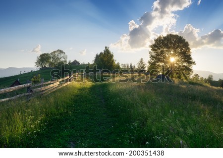 Summer evening landscape with sunlight through the trees. Meadow Road in the mountain village. Carpathians, Ukraine, Europe