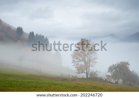 Autumn landscape with fog in a mountain village. Wooden fence in a rural yard. Carpathian mountains, Ukraine, Europe