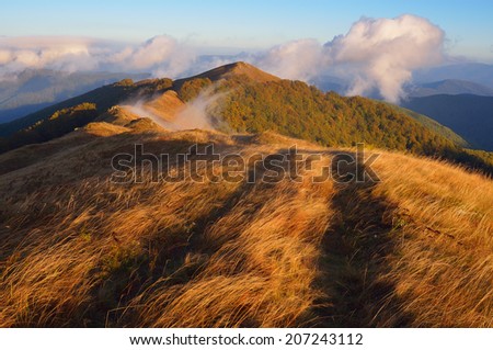 Autumn landscape in the morning. Road to the mountains. Light of the sun on the grass. Carpathians, Ukraine, Europe