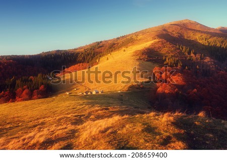 Autumn landscape in the mountains. Evening light of the setting sun on the mountain meadows. Beautiful trees in fall colors. Soft effect. Color toning