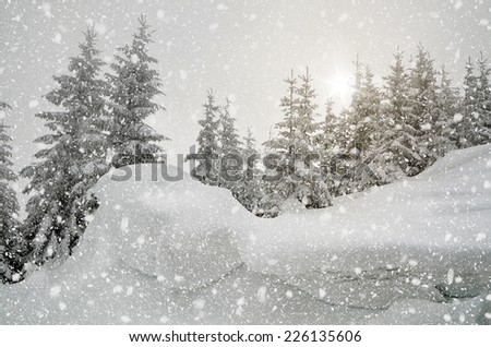 Christmas view. Snow-covered forest in the mountains. Landscape in gray tones overcast day. The sun shines through the clouds. Carpathians, Ukraine, Europe