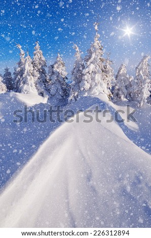 Sunny winter landscape with snow dunes in a mountain forest