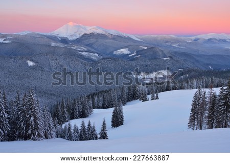 Dawn in mountains. Winter landscape with snow covered forest
