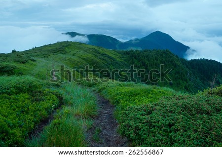 Mountain landscape. Summer evening in cloudy weather. Lush green grass