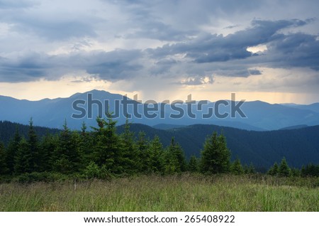 Bad weather. Rain in the mountains. Spruce forest on the hillside