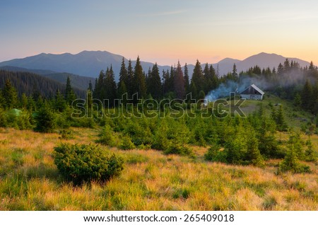 Summer evening. Mountain landscape. Camping in nature. Spruce forest on the slopes