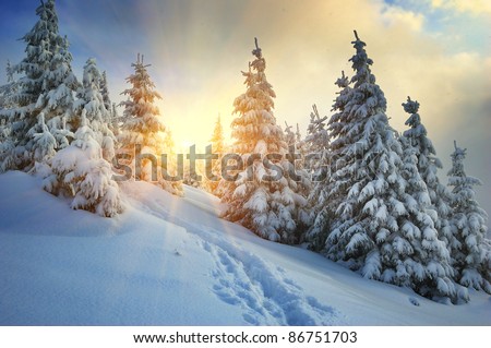 Winter landscape on a sunset. Mountains Carpathians, Ukraine