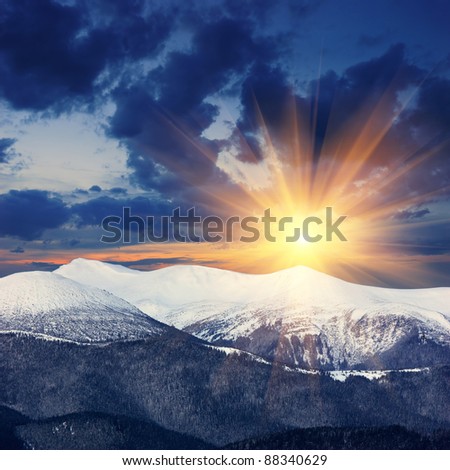 Winter landscape with fur-trees and fresh snow. Ukraine, Carpathians