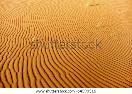 Sand background, Sahara Desert, Africa