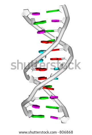 A Dna