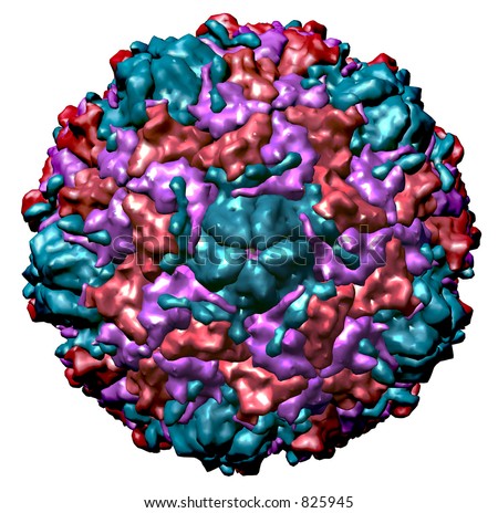 common cold virus structure. the common cold virus