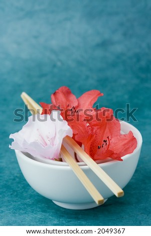 Azaleas or Rhododendron flowers positioned in two rice bowls with chop sticks. Conceptual representation of presentation, styling, food and freshness.