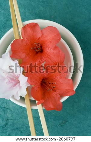 Pink and red azalea florets styled with two chinese rice bowls and chop sticks, against a turqoise textured backdrop. Intention is to show presentation, styling, health, freshness.