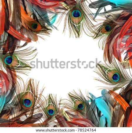 Stock Images Peacock