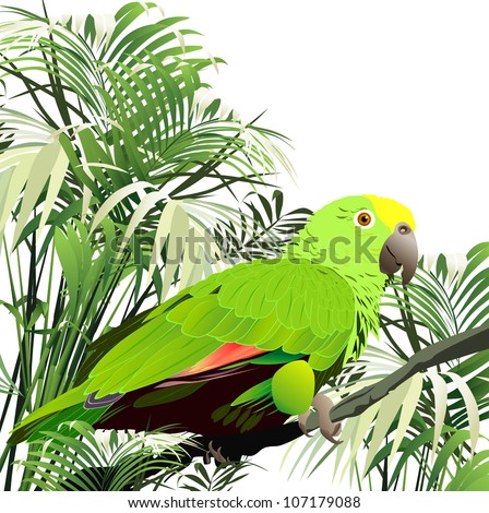 tropical plants and birds (pitsa-rhino, a parrot)