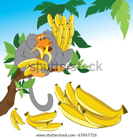 monkey and bananas
