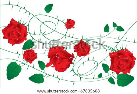 stock vector roses and thorns