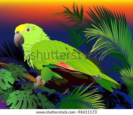 Tropical Birds Flying on Coloured Parrot Profile Tropical Banner Tropical Feeling Find Similar