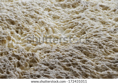 The Fermentation Of Beer